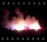 video austerlitz 2015